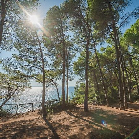 Squirrel Beach Front Villa, Metamorfosi 外观 照片