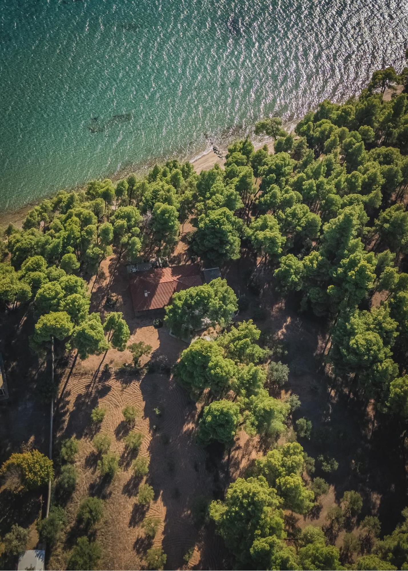 Squirrel Beach Front Villa, Metamorfosi 外观 照片